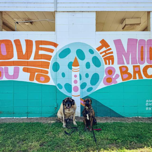 Discover South Huntsville