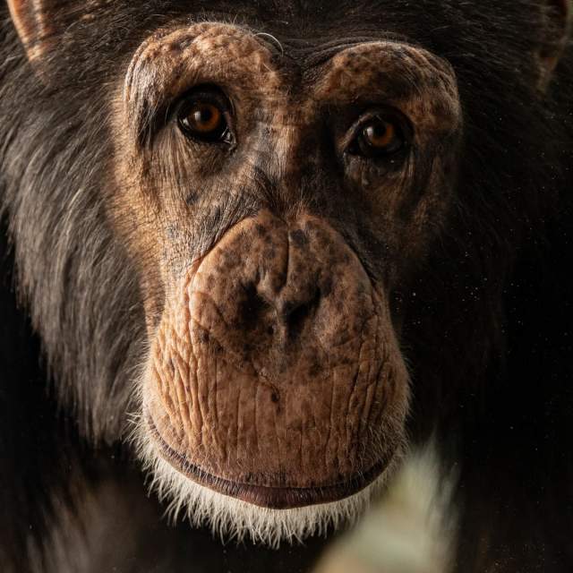Indianapolis Zoo