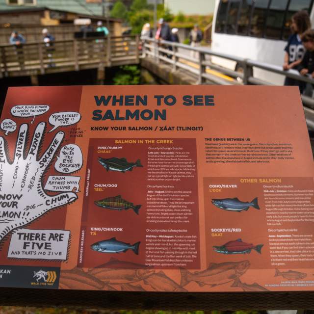 Ketchikan_Seth_Willingham_277