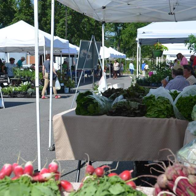 Farmer's Market