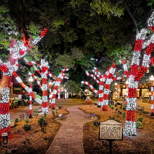 Christmas in the City Knoxville Holidays Peppermint