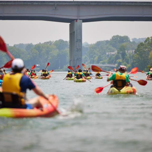 Tennessee RiverLine