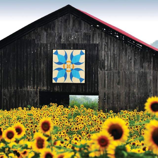 National Quilting Day