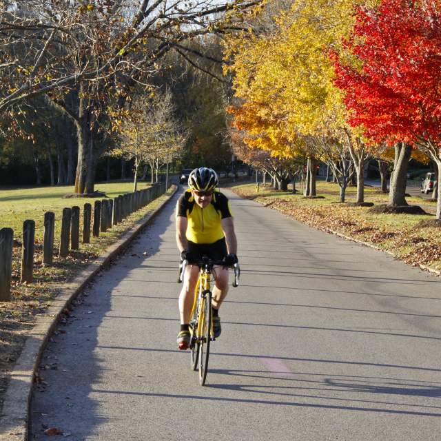 Fall Biking