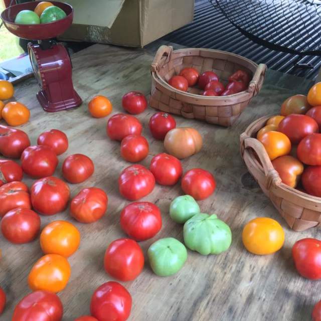 Farmers Market