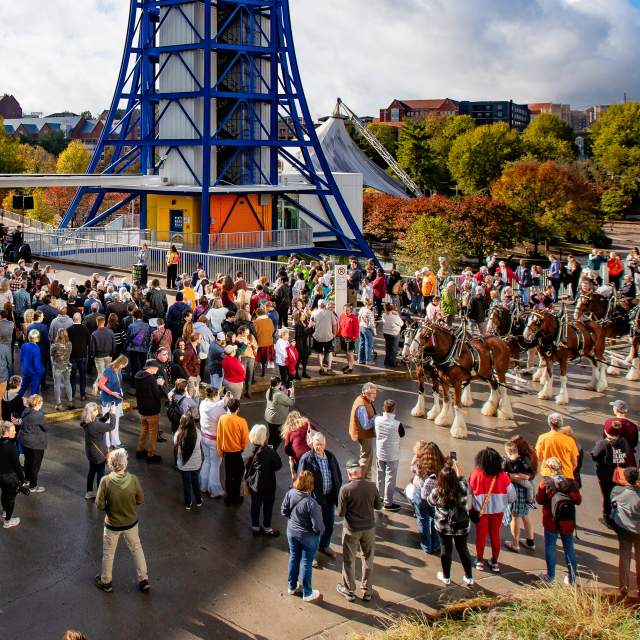 Sunsphere Welcome Center Opening