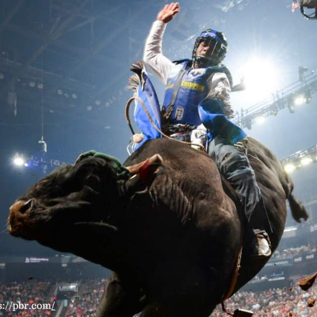 PBR Bull Riding