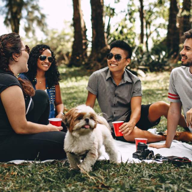 Picnic