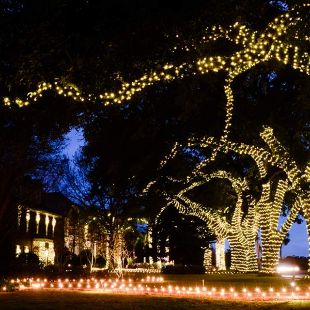 Christmas - Shell Beach Drive in Lake Charles