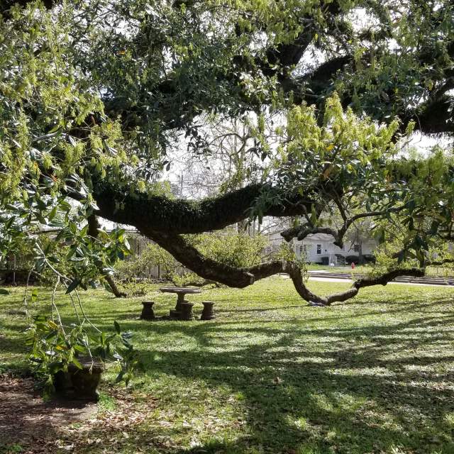 Imperial Calcasieu Museum