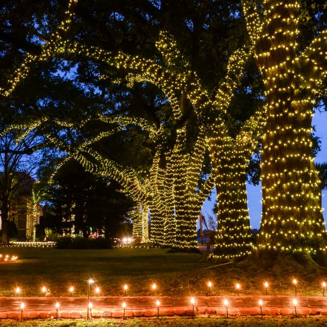 Johnson City Christmas Lights 2022 Recent Displays In New York And Here In Louisiana 8 Of The Best Holiday Lights Displays In Southwest Louisiana