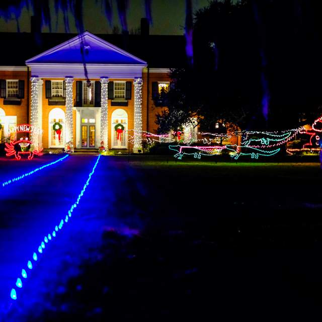 Christmas Light Tours