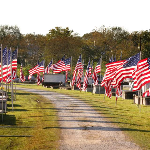 Memorial Flags Lined Along Drive at Avenue of Flags
