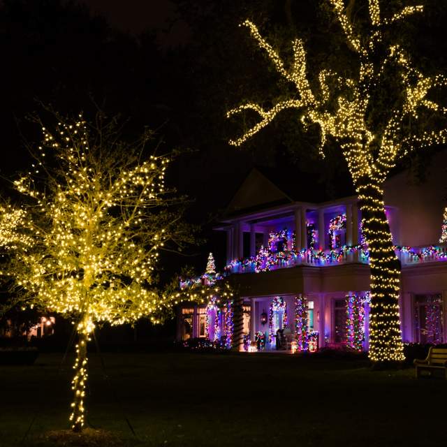 henning cultural center adorned with yellow twinkling lights on the trees and purple lights on the balcony