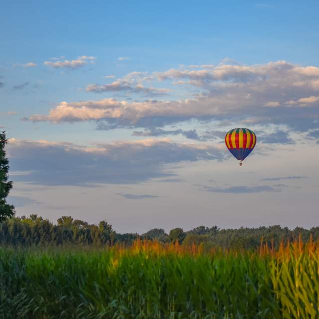 LG Balloon Co_CKoster_2022 cover image