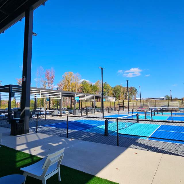 Court view of Serve Pickleball