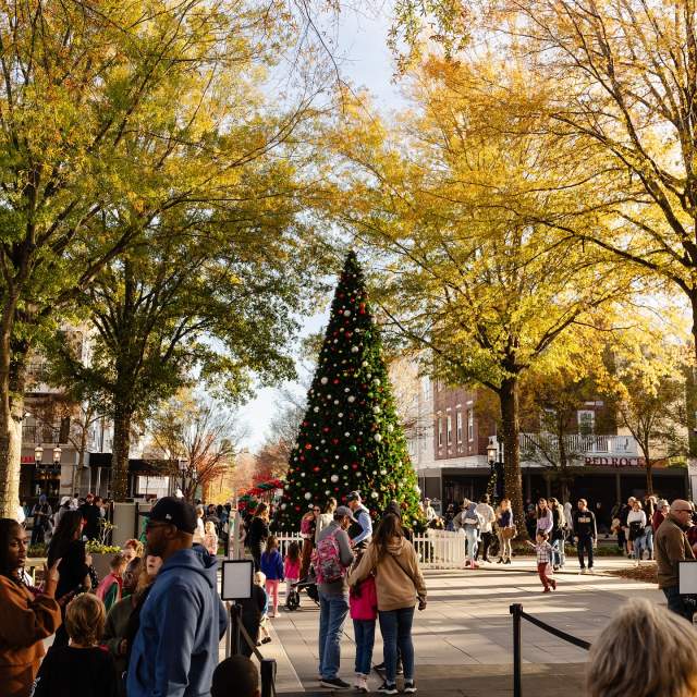 Lighting of Birkdale Village