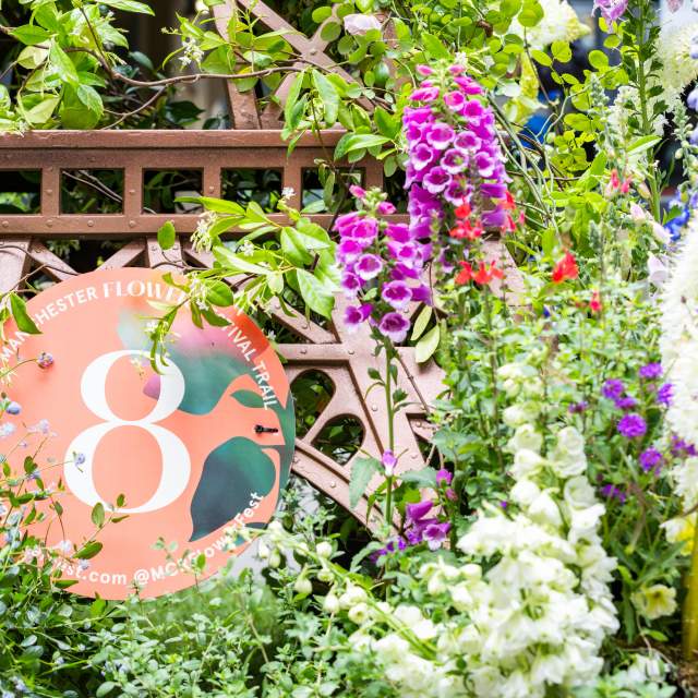 Flower festival floral trail