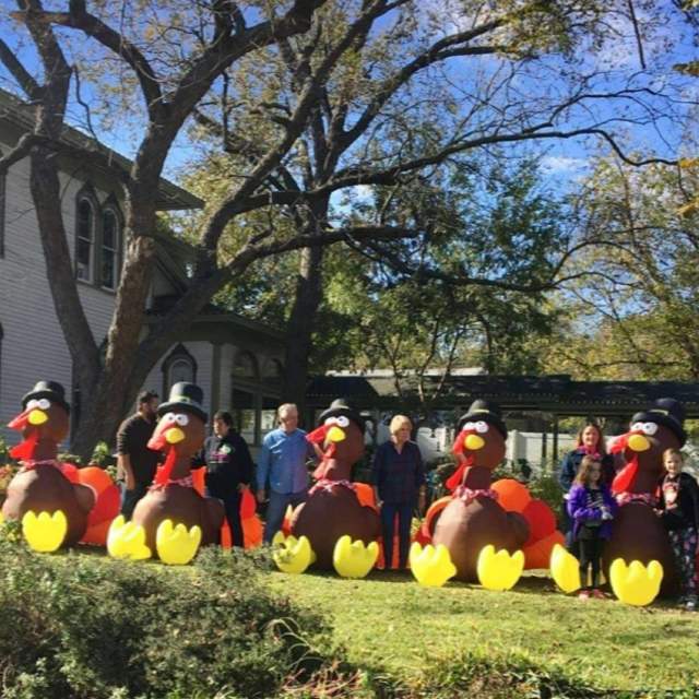 Seven inflatable turkeys in front of a historic home in Downtown McKinney