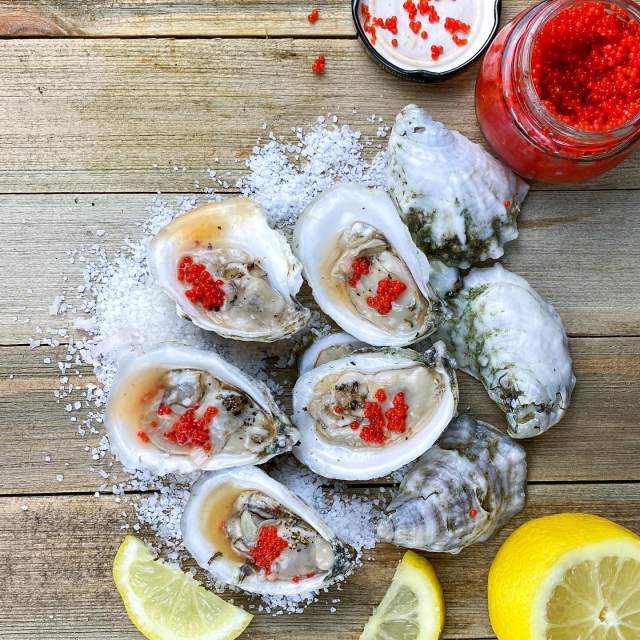 Oysters on a picnic table