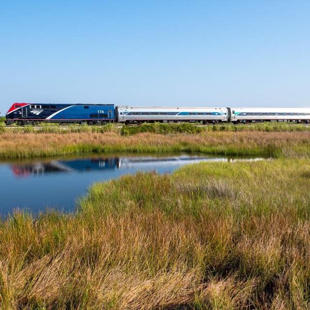 An Amtrak engine and three cars on the rail lines surrounded by marshes and bayous