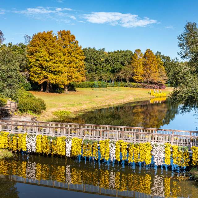 Fall Activities in Mobile, AL| Festivals, Outdoors & Family Fun