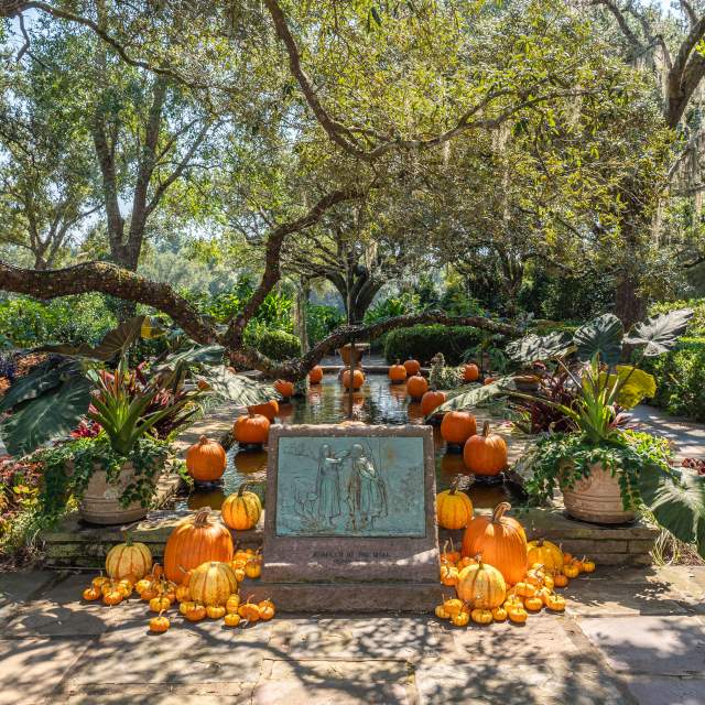 Pumpkins and various gourds at Bellingrath Gardens & Home.