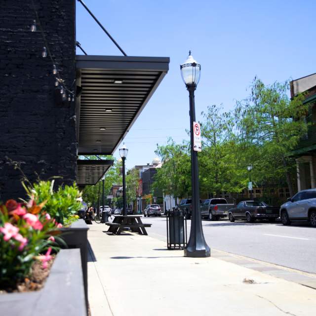 street view of downtown Mobile. Street lights and flowers.