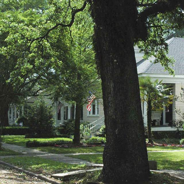Tree lined street in a neighborhood