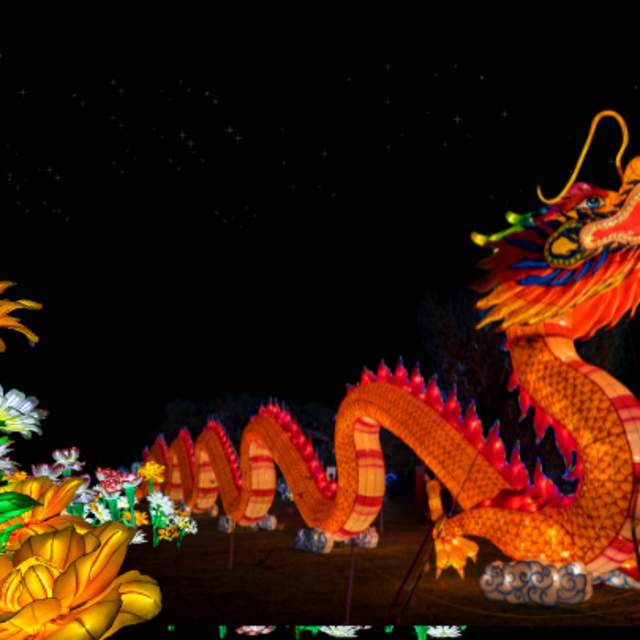 Orange dragon lantern