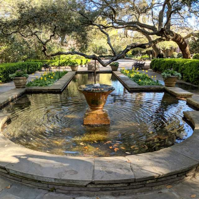 fountain and pond surrounded by plants and trees