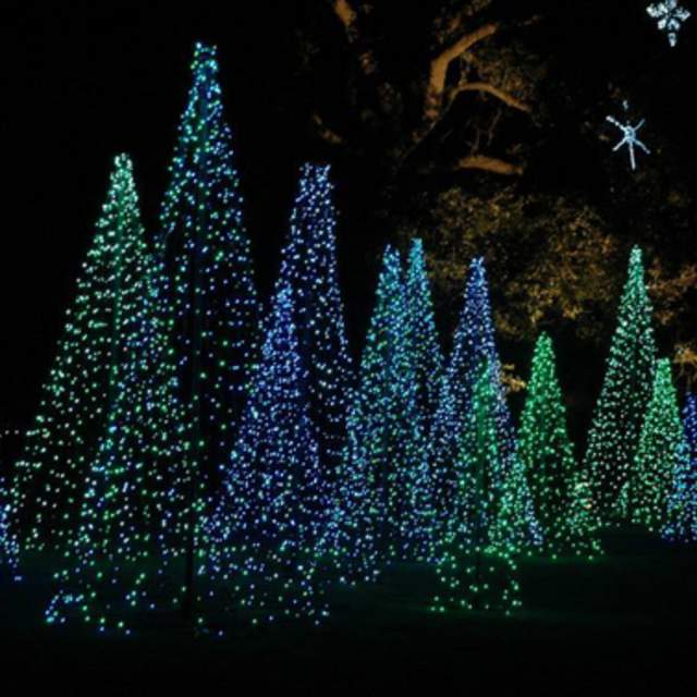 magic-christmas-in-lights