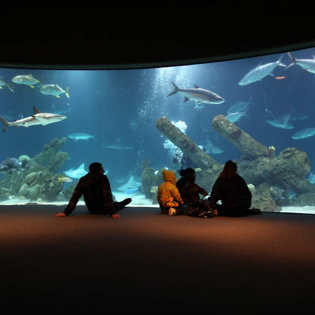 Albuquerque Aquarium
