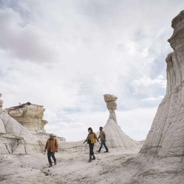 Bisti Badlands Tours