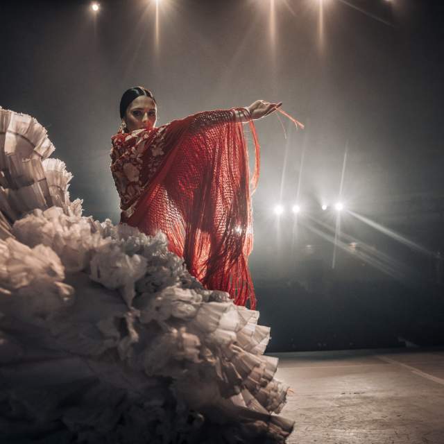 The Artistry and Legacy of Flamenco