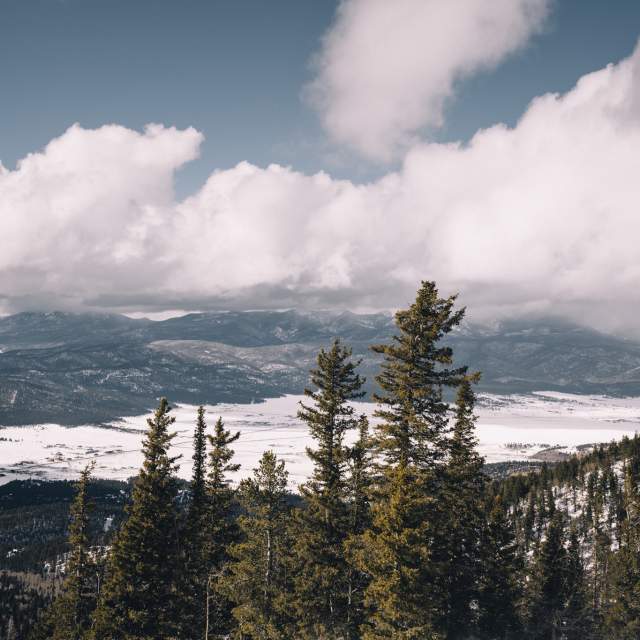 View of a snow-covered landscape with tall pine trees in the foreground and mountain ranges under a cloudy sky in the background.