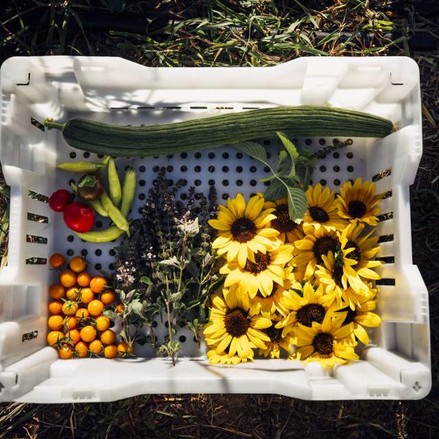 A plastic crate containing an assortment of fresh produce and flowers sitting on grass.