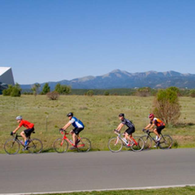 A group of road bikers ride through New Mexico