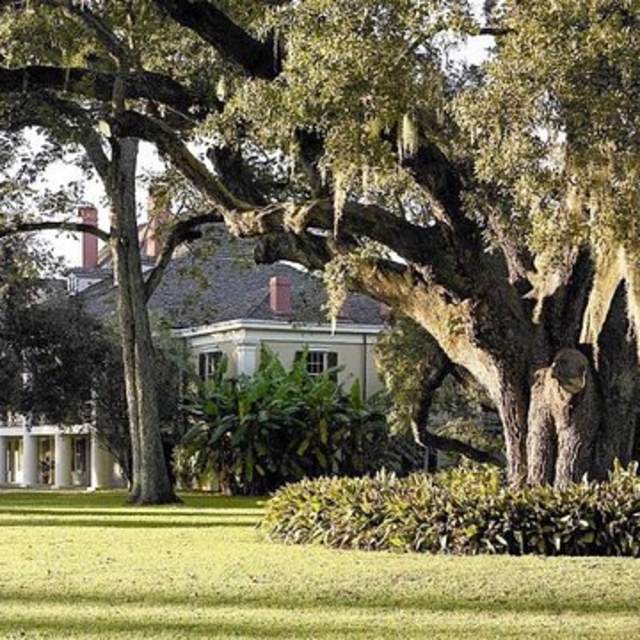 Take a trip down to Plantation Country and explore Whitney Museum Plantation. During the 75-minute self-guided audio walking tour, visitors will gain a unique perspective on the lives of the enslaved people on a Louisiana sugar plantation, learning their stories through the real oral histories recorded by the Federal Writers Project during the Depression. After your plantation tour we will head down to Westwego Louisiana where you have a chance to enjoy a sit down lunch (AT OWN EXPENSE). After lunch we will take you across the Cajun Swamp where you take a 90 minutes cover pontoon fast-speed boat ride. The Captains will navigate their way through the swamp. You will learn about Louisiana Wetlands, the inhabitants of the swamp, the life and habits of the American Alligators.