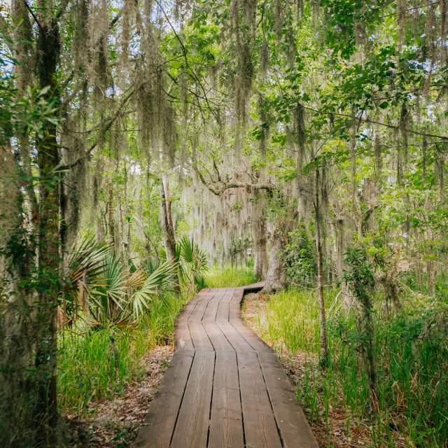 Barataria Preserve