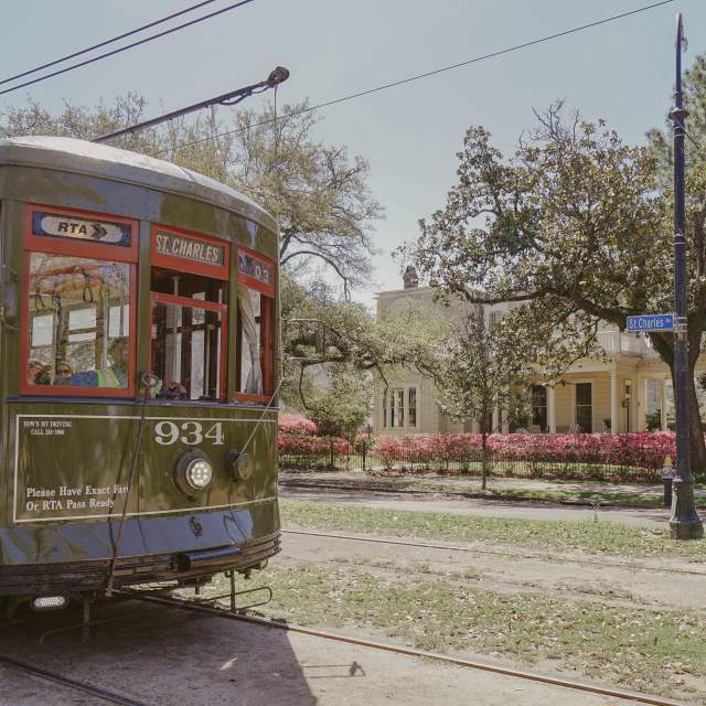 Streetcar - Uptown Spring Color - Azaleas - St. Charles Avenue