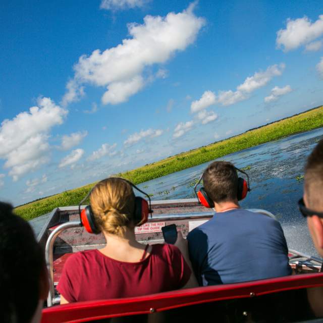 Jean Lafitte Swamp Tour