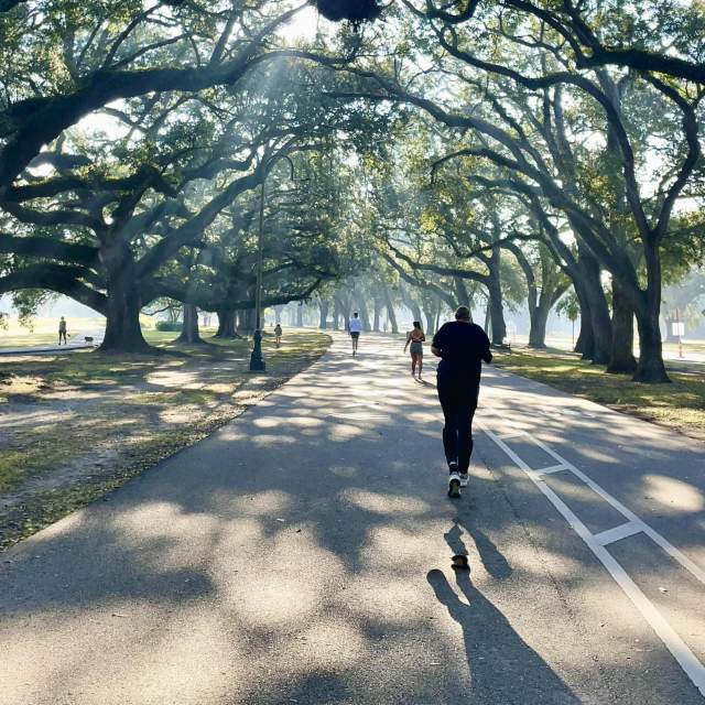 Running in Audubon Park