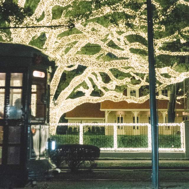 Christmas Lights on St. Charles Avenue