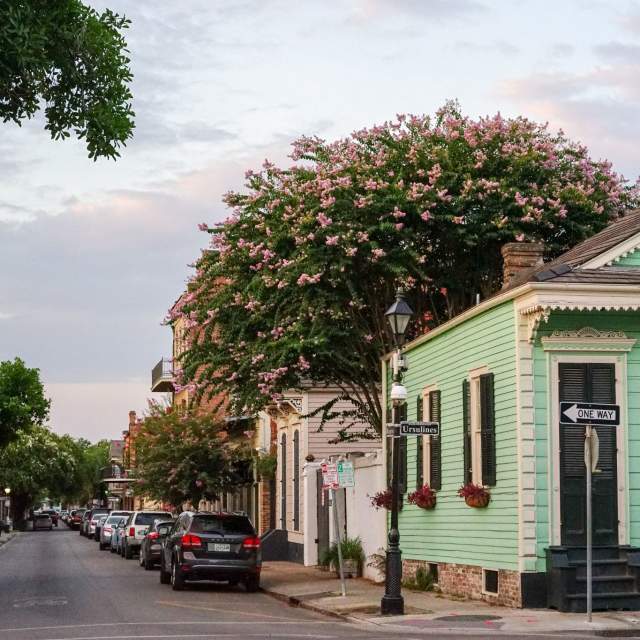 10 Reasons to Visit New Orleans in the Summer
