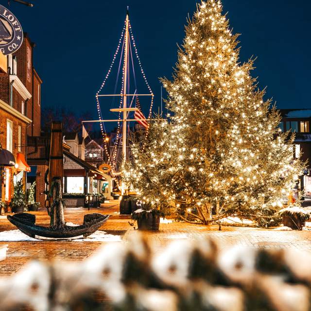 Pier 39 Christmas Tree Lighting 2022 Christmas Events In Newport Ri | Discover Newport, Rhode Island