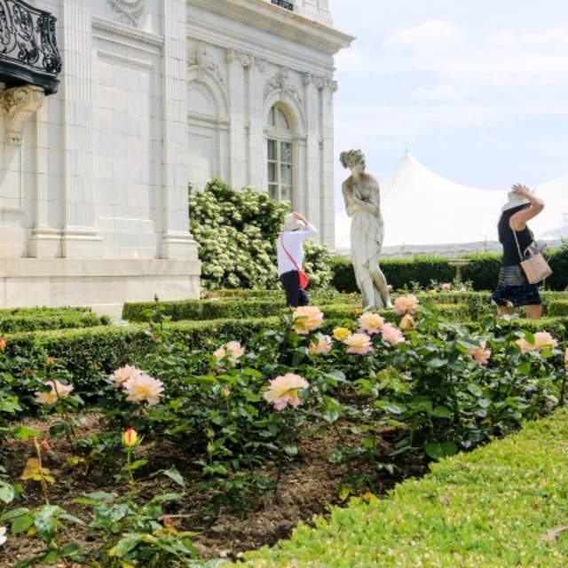 A garden with roses, hedges, and a statue in front of a large white building.