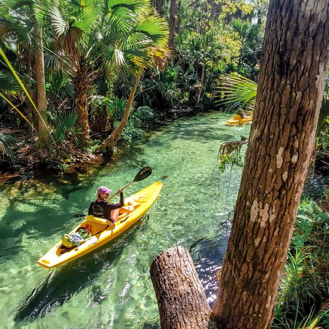 Dive Into These Gorgeous Natural Springs