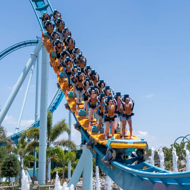 SeaWorld Pipeline rollercoaster