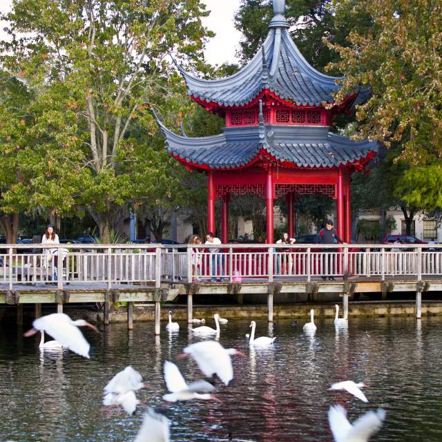 A Chinese gazebo on Lake Eola in downtown Orlando